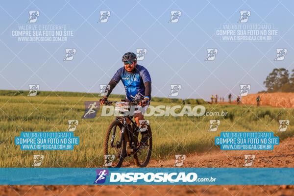 Circuito Ibiporã de MTB - Etapa Volta do Guarani