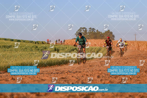 Circuito Ibiporã de MTB - Etapa Volta do Guarani