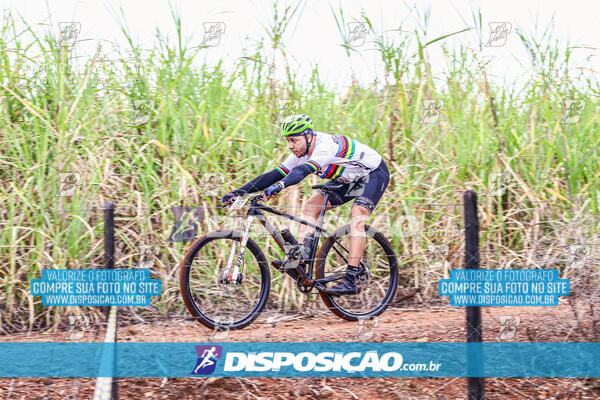 MTB Raízes 2024