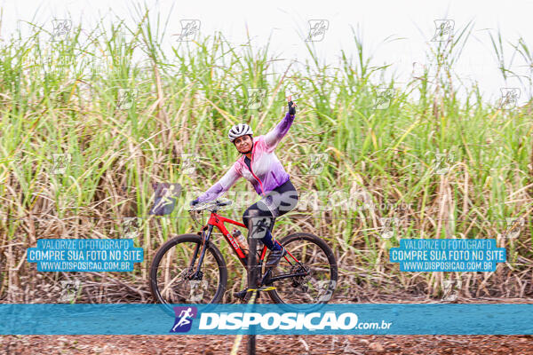 MTB Raízes 2024