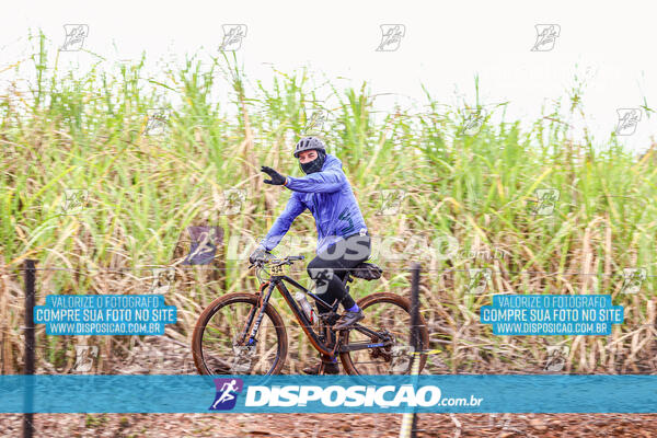 MTB Raízes 2024