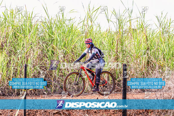MTB Raízes 2024