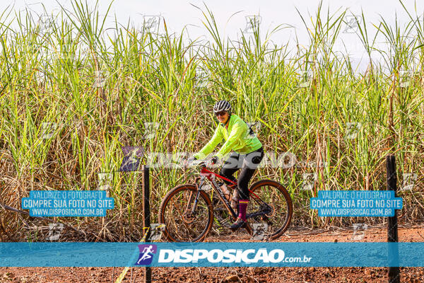 MTB Raízes 2024
