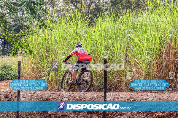 MTB Raízes 2024