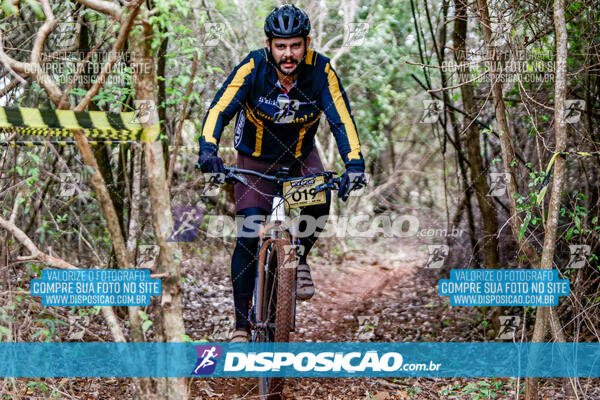 MTB Raízes 2024