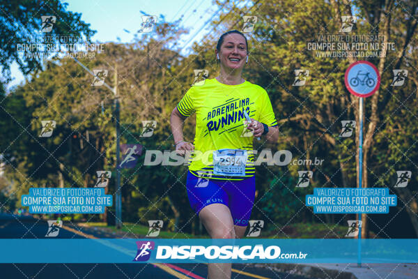 MEIA MARATONA MUFFATO FRESH RUN 2024 – LONDRINA