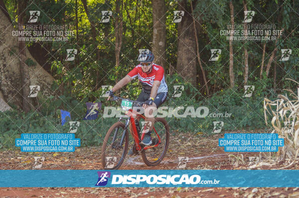 4º AlvoBike 