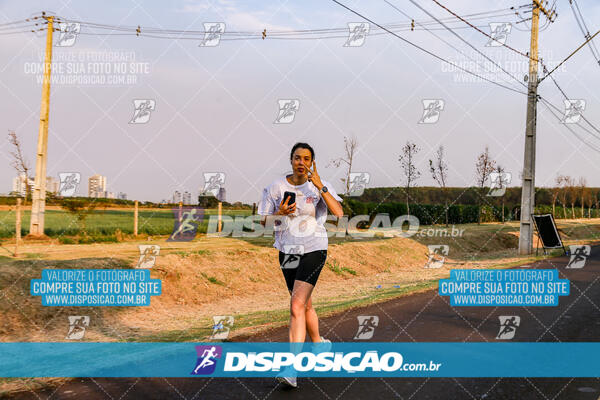 Circuito  de Corridas Angeloni 2024  Maringá