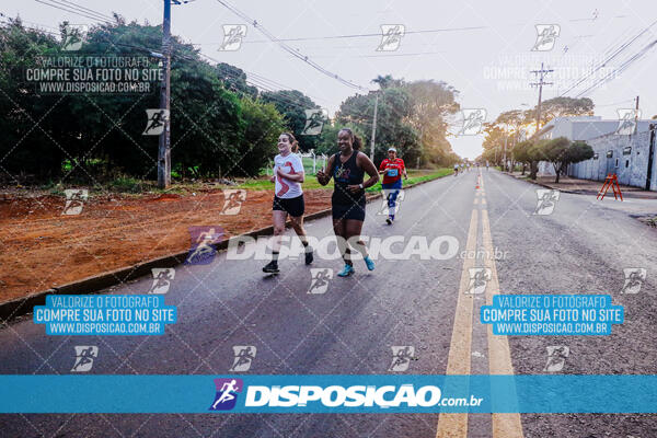Circuito  de Corridas Angeloni 2024  Maringá