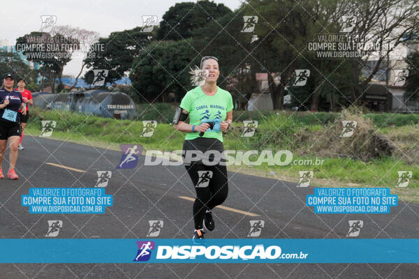 Circuito  de Corridas Angeloni 2024  Maringá