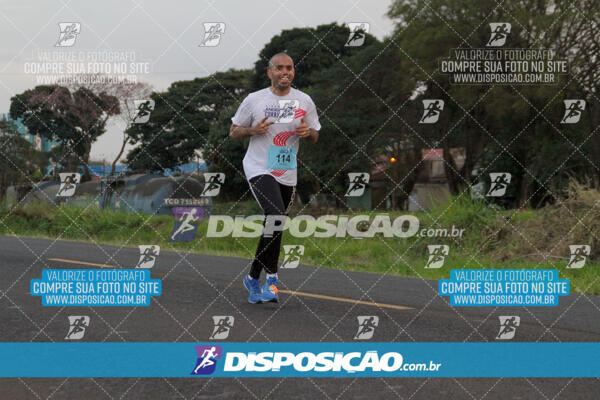 Circuito  de Corridas Angeloni 2024  Maringá