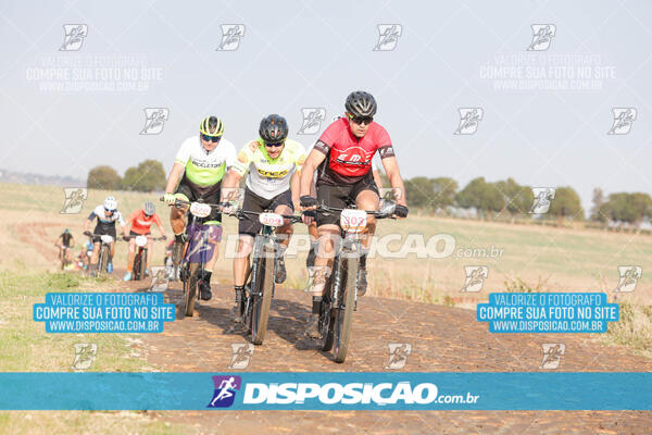 XCM CAPITAL DA UVA - 2ª EDIÇÃO