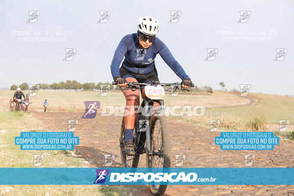 XCM CAPITAL DA UVA - 2ª EDIÇÃO