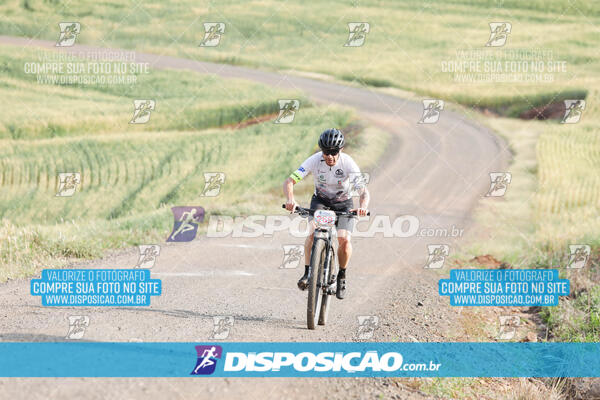 XCM CAPITAL DA UVA - 2ª EDIÇÃO