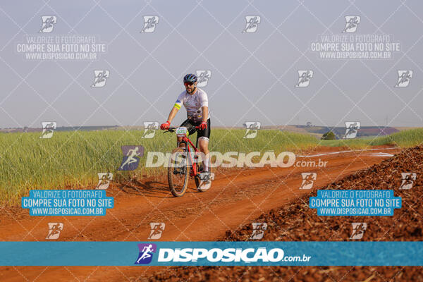 XCM CAPITAL DA UVA - 2ª EDIÇÃO