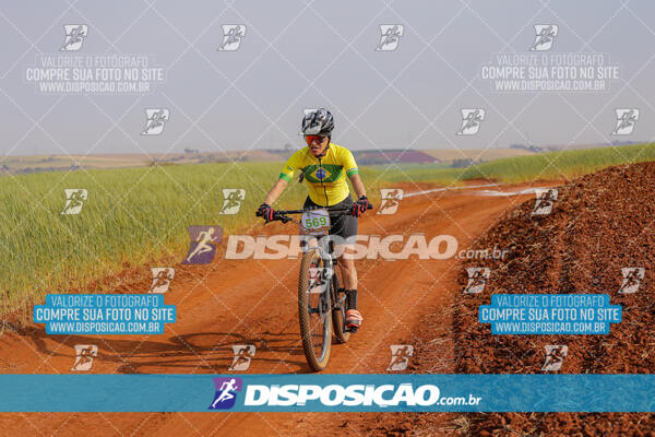 XCM CAPITAL DA UVA - 2ª EDIÇÃO