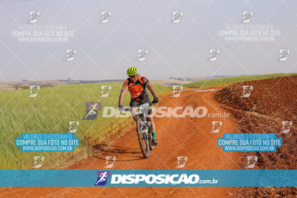XCM CAPITAL DA UVA - 2ª EDIÇÃO