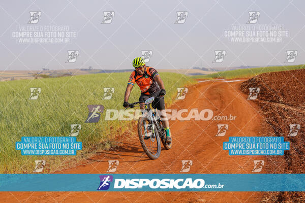 XCM CAPITAL DA UVA - 2ª EDIÇÃO