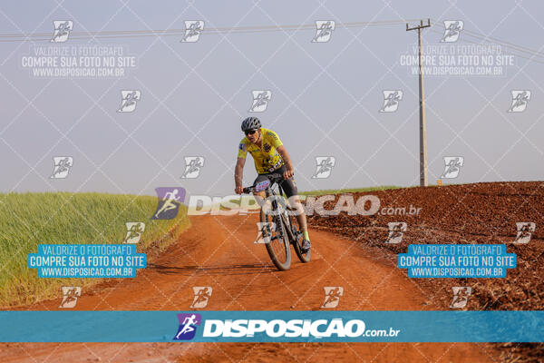 XCM CAPITAL DA UVA - 2ª EDIÇÃO