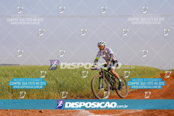 XCM CAPITAL DA UVA - 2ª EDIÇÃO