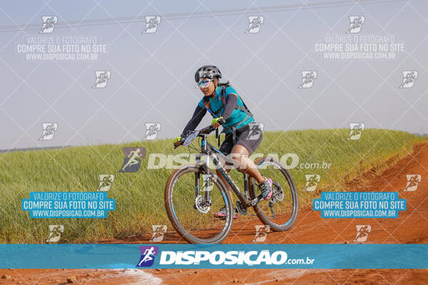 XCM CAPITAL DA UVA - 2ª EDIÇÃO
