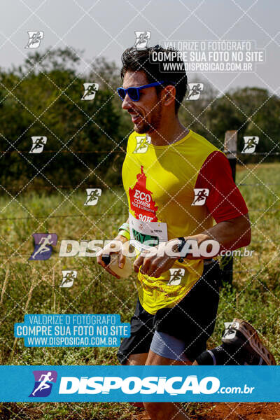 Eco Corrida 90k Londrina