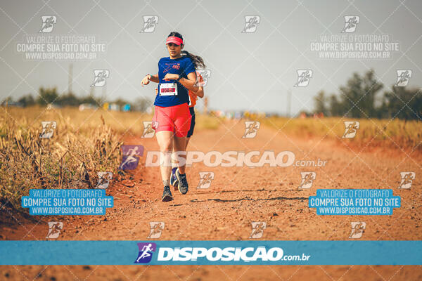 Eco Corrida 90k Londrina