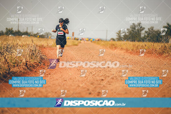 Eco Corrida 90k Londrina