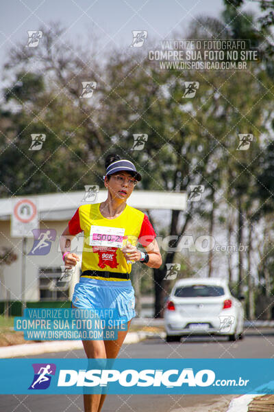 Eco Corrida 90k Londrina