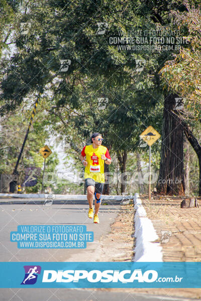 Eco Corrida 90k Londrina