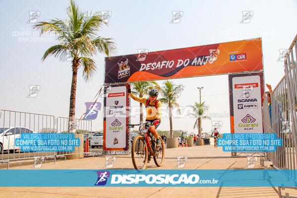 Desafio do Anjo 2024