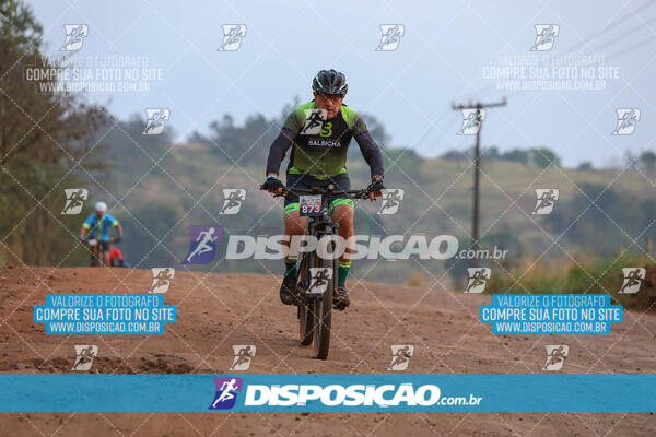 Desafio do Anjo 2024