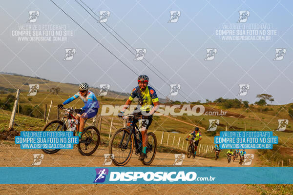 Desafio do Anjo 2024