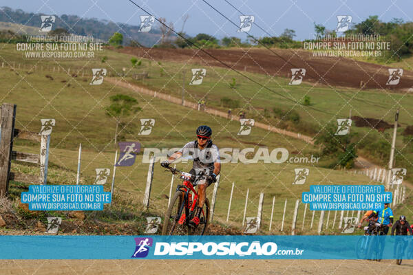 Desafio do Anjo 2024