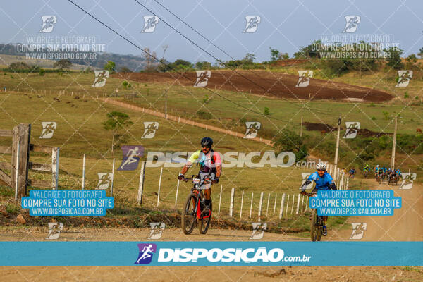 Desafio do Anjo 2024
