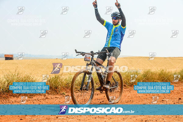 Desafio do Anjo 2024