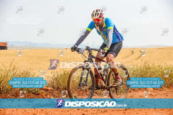 Desafio do Anjo 2024