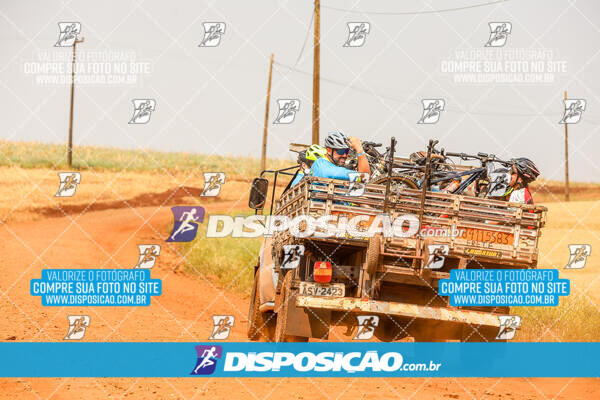 Desafio do Anjo 2024