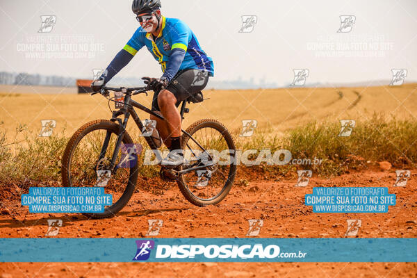 Desafio do Anjo 2024