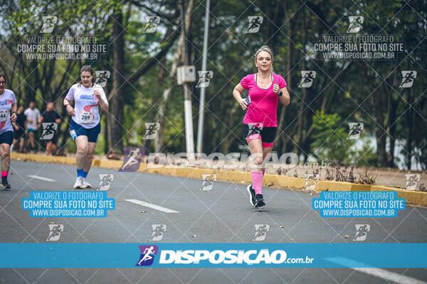Circuito de Corridas Angeloni 2024 - Etapa Londrina 
