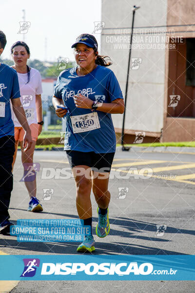 Gelobel Run 2024