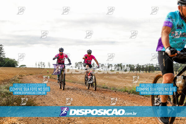 Desafio Outubro Rosa Brutas do Pedal 2024