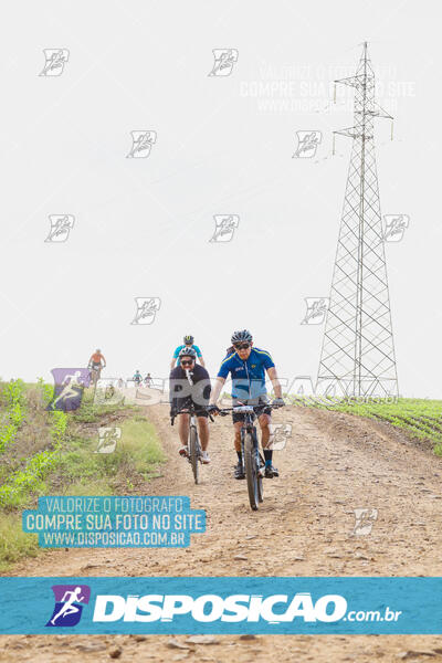 Pedala Paraná - Rota do Caramuru 2024
