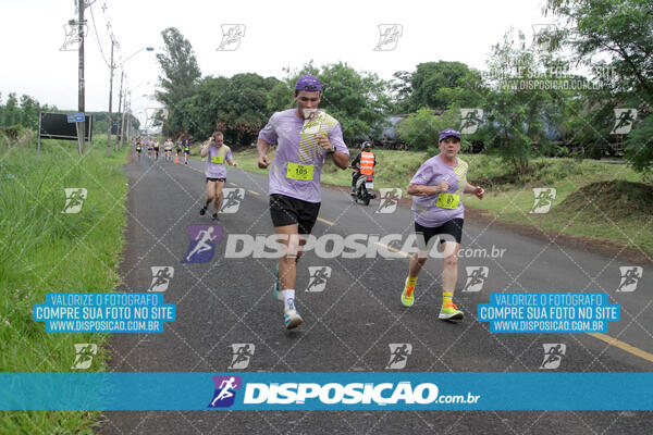 Circuito Sesc de Corridas 2024 Etapa Maringá