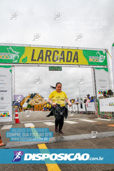 Circuito Eco X