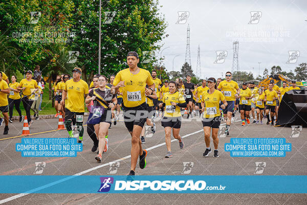 Circuito Eco X
