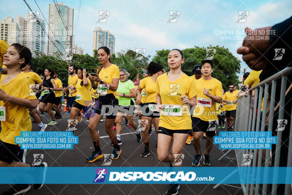 The Best Run Meia Maratona