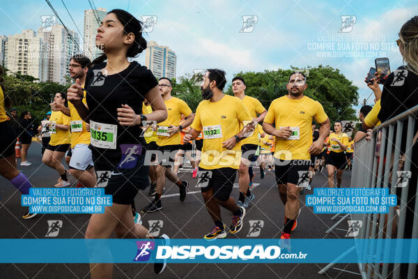 The Best Run Meia Maratona