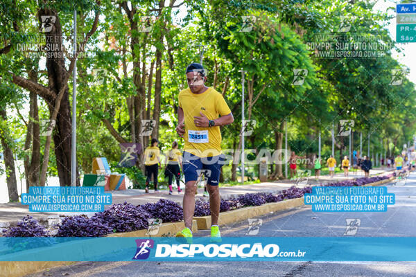 The Best Run Meia Maratona