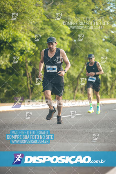 The Best Run Meia Maratona